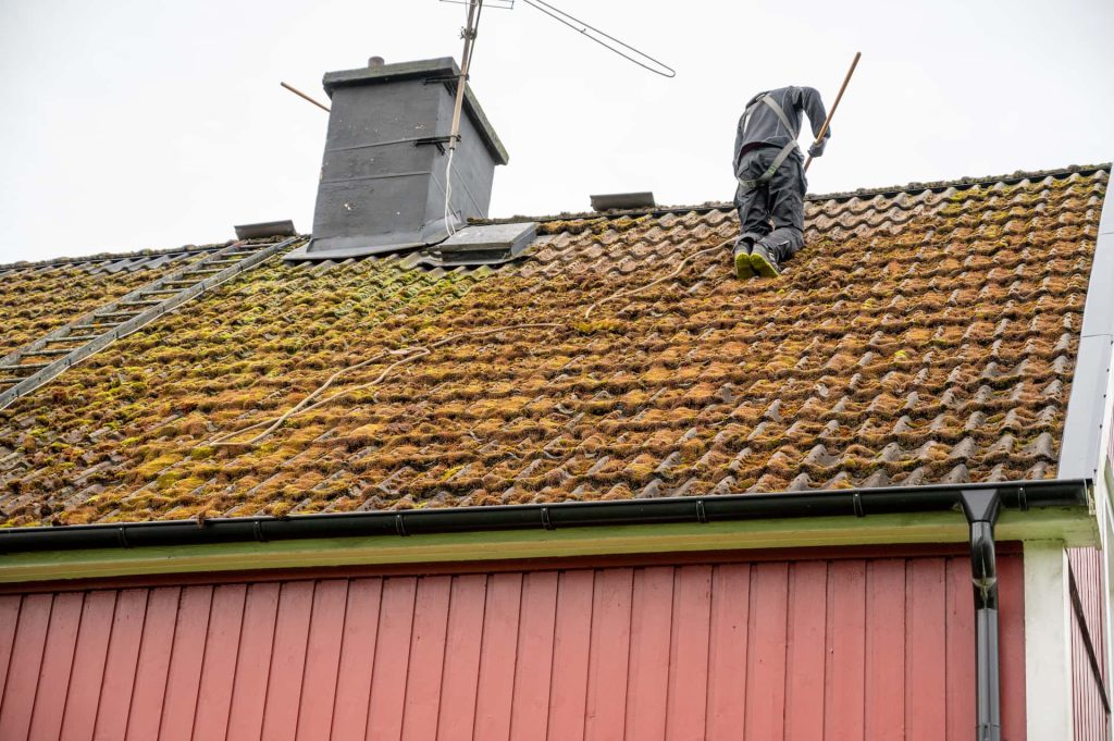 Roof moss removal services Cardiff